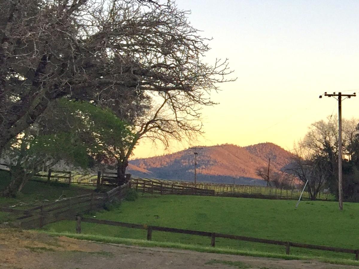 Rustridge Ranch & Winery Bed & Breakfast St. Helena Bagian luar foto