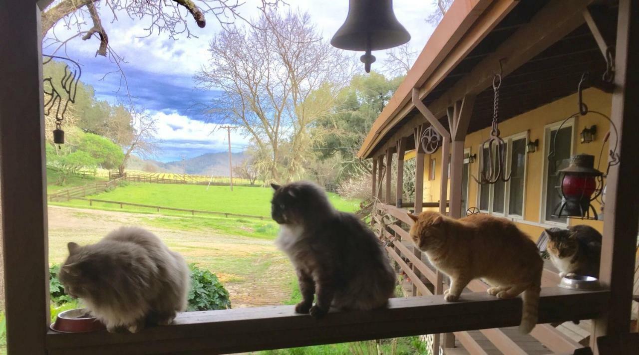 Rustridge Ranch & Winery Bed & Breakfast St. Helena Bagian luar foto